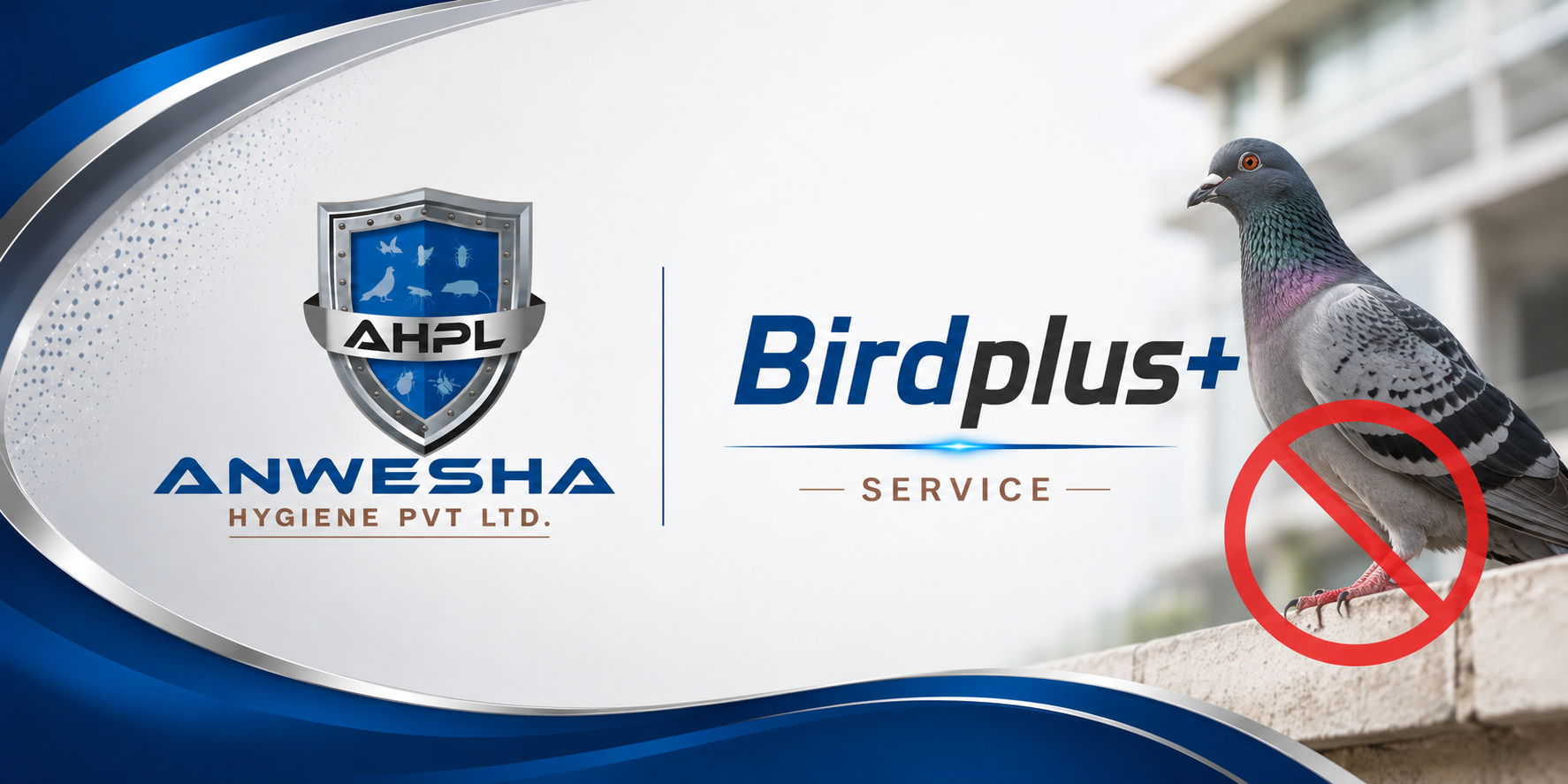 Birdplus Service